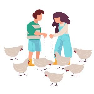 Feed, Supplement & Seeds - Ethiomarket4u