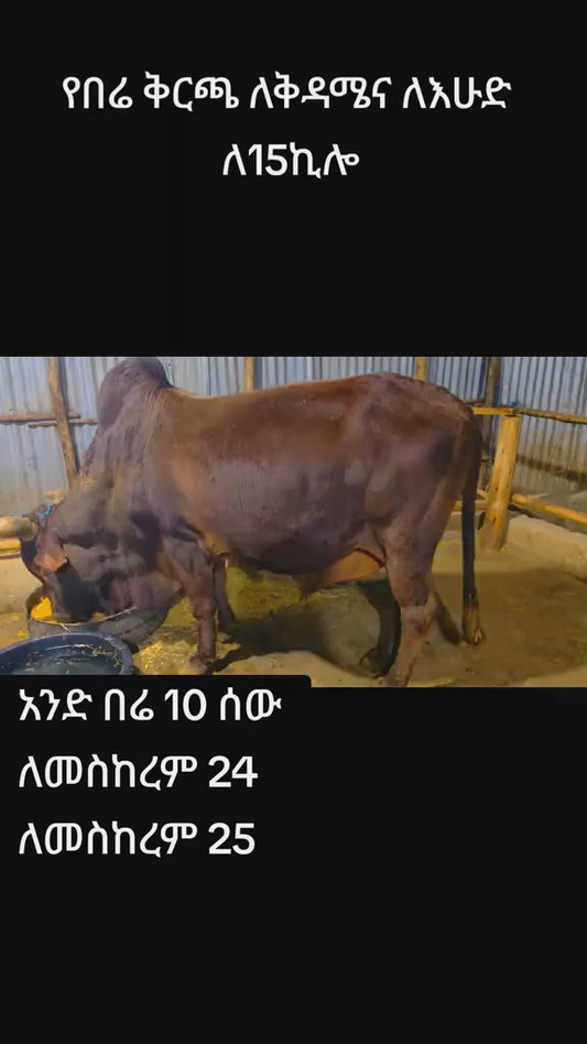 Ox /portioned to 10/Code 219 ለ መስከረም24 /2018