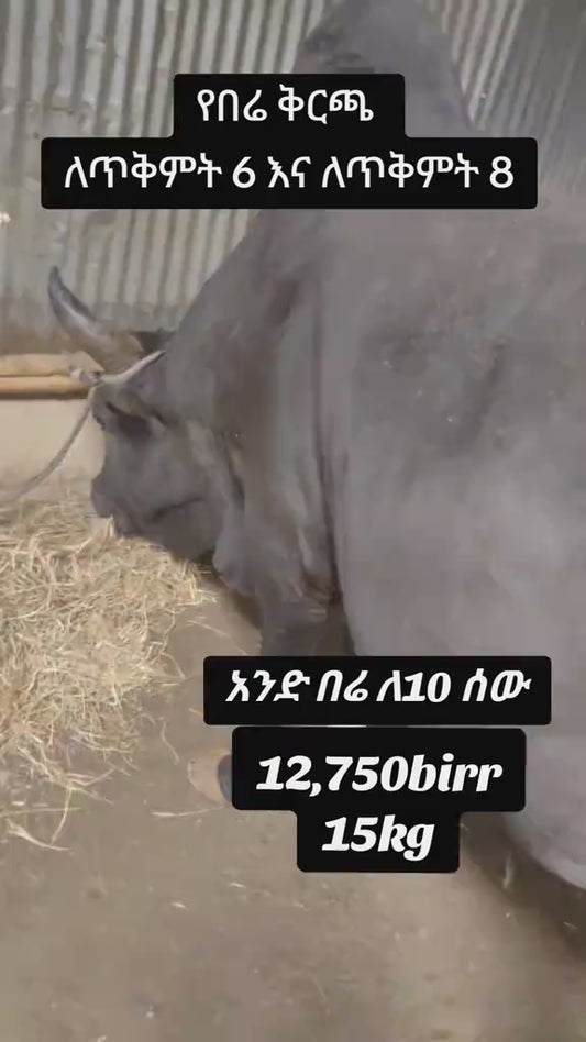 Ox portioned to 10  ለ ጥቅምት 11 /2018